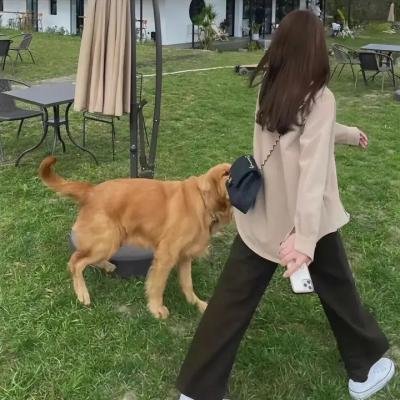 刑事侦缉档案4